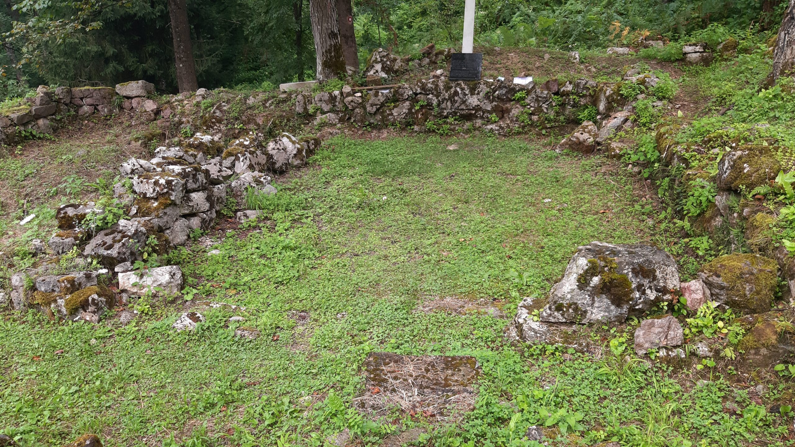 Tara3